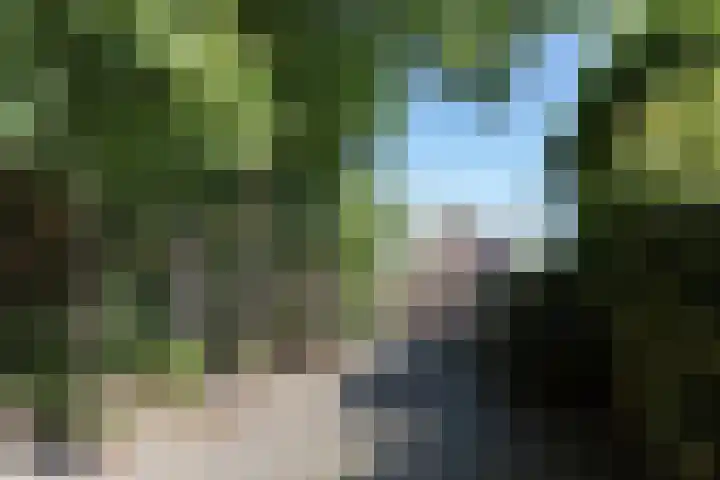 Pelmolen 7 Niezijl thumbnail 51