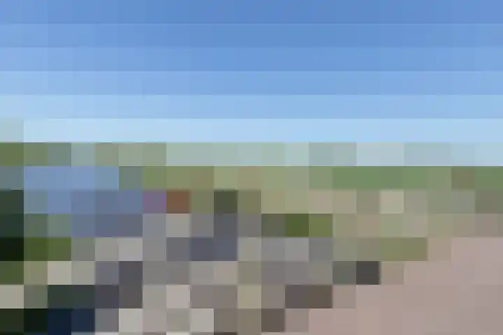 Pelmolen 7 Niezijl thumbnail 52