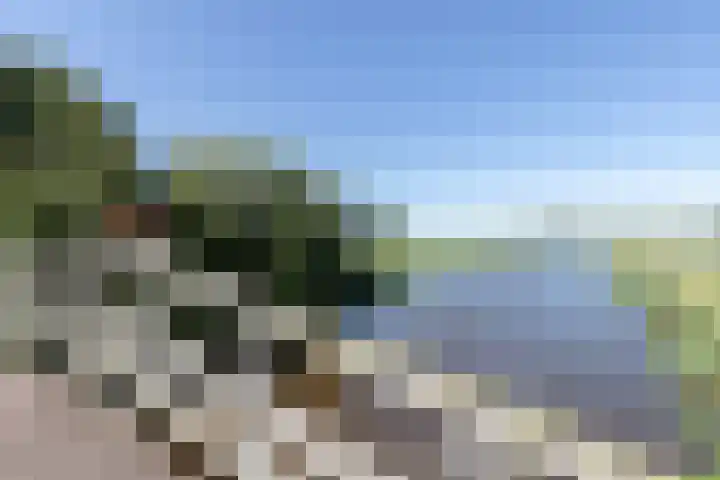 Pelmolen 7 Niezijl thumbnail 53