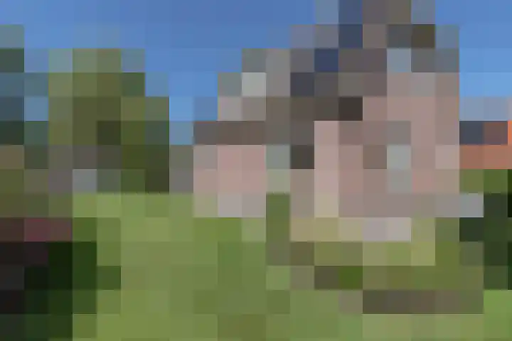 Pelmolen 7 Niezijl thumbnail 7