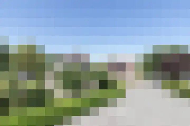 Pelmolen 7 Niezijl thumbnail 8