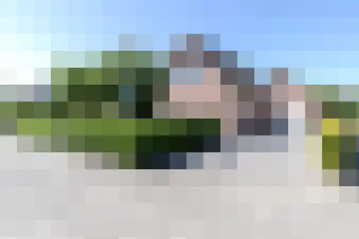 Pelmolen 7 Niezijl thumbnail 9