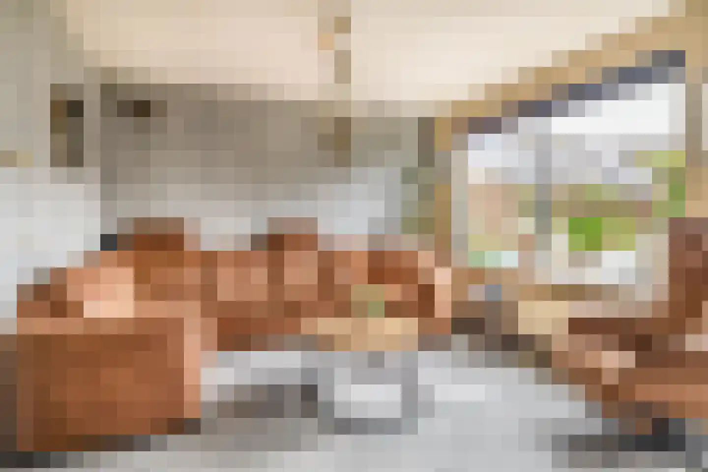 Pelmolenerf 16 Gouda thumbnail 11