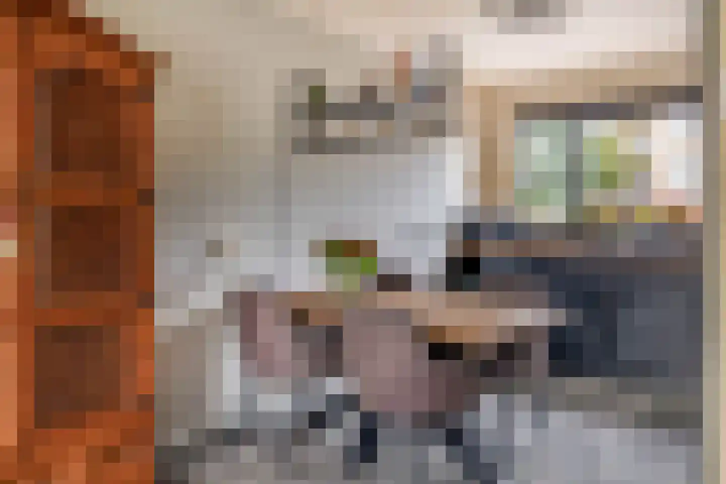 Pelmolenerf 16 Gouda thumbnail 14
