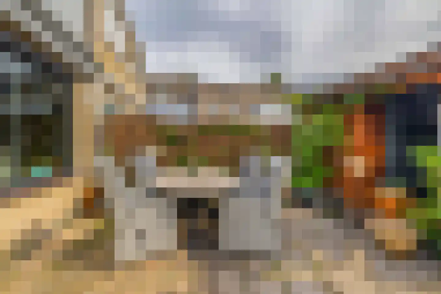 Pelmolenerf 16 Gouda thumbnail 19