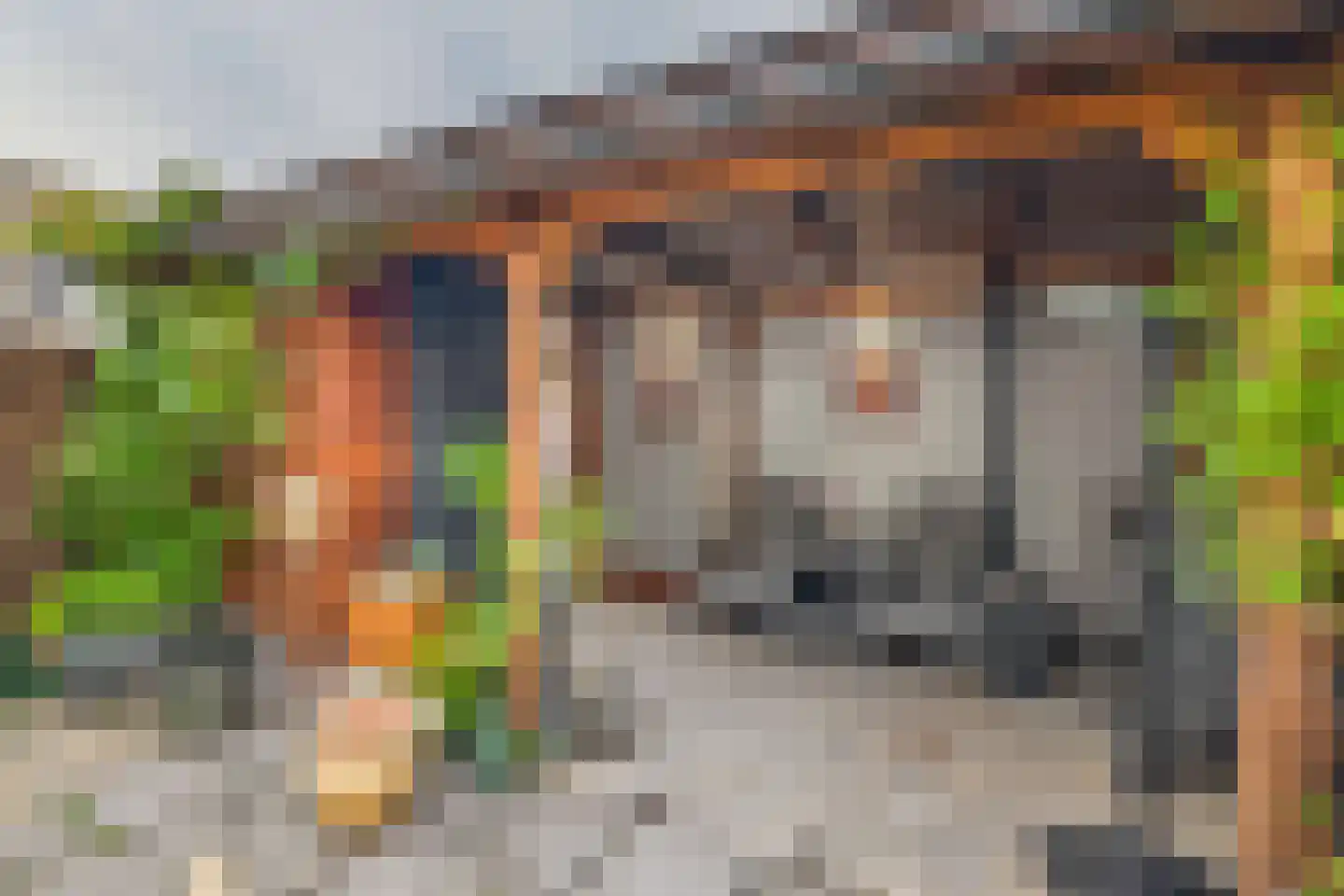 Pelmolenerf 16 Gouda thumbnail 20