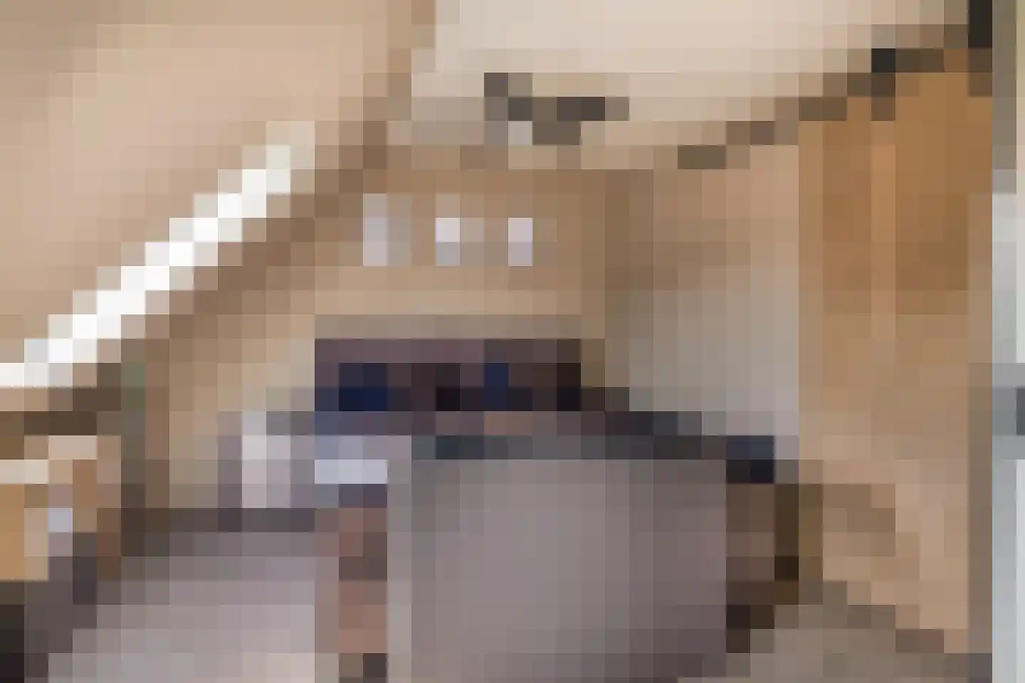 Pelmolenerf 16 Gouda thumbnail 23