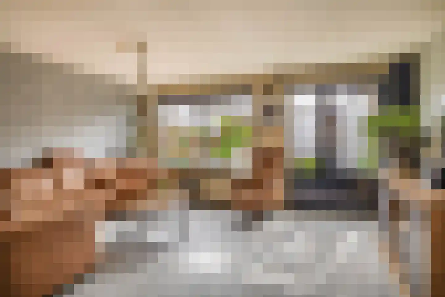 Pelmolenerf 16 Gouda thumbnail 4