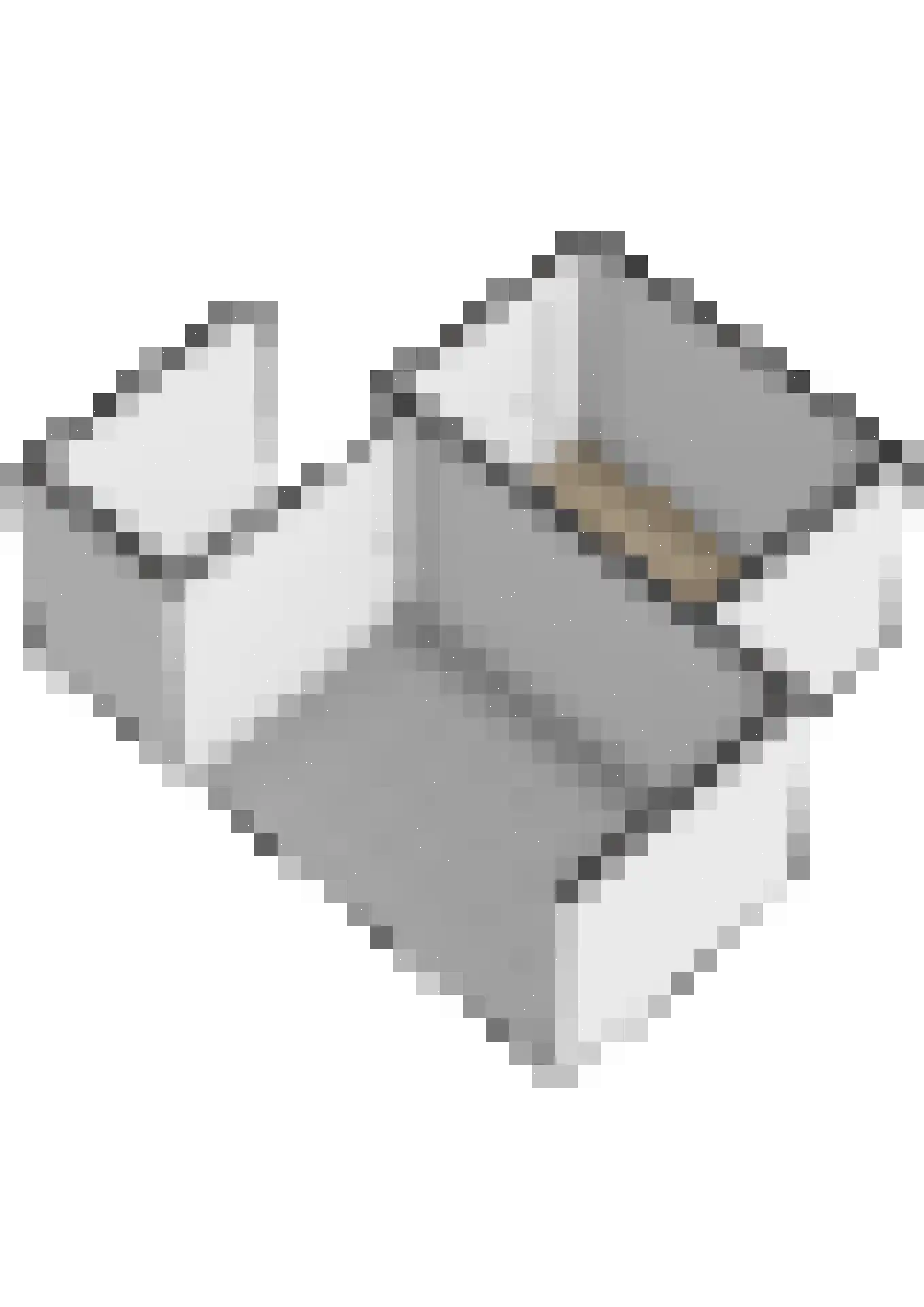 Pelmolenerf 16 Gouda thumbnail 41