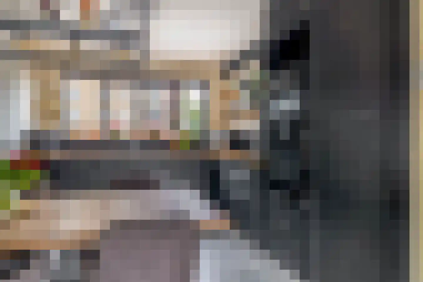Pelmolenerf 16 Gouda thumbnail 5