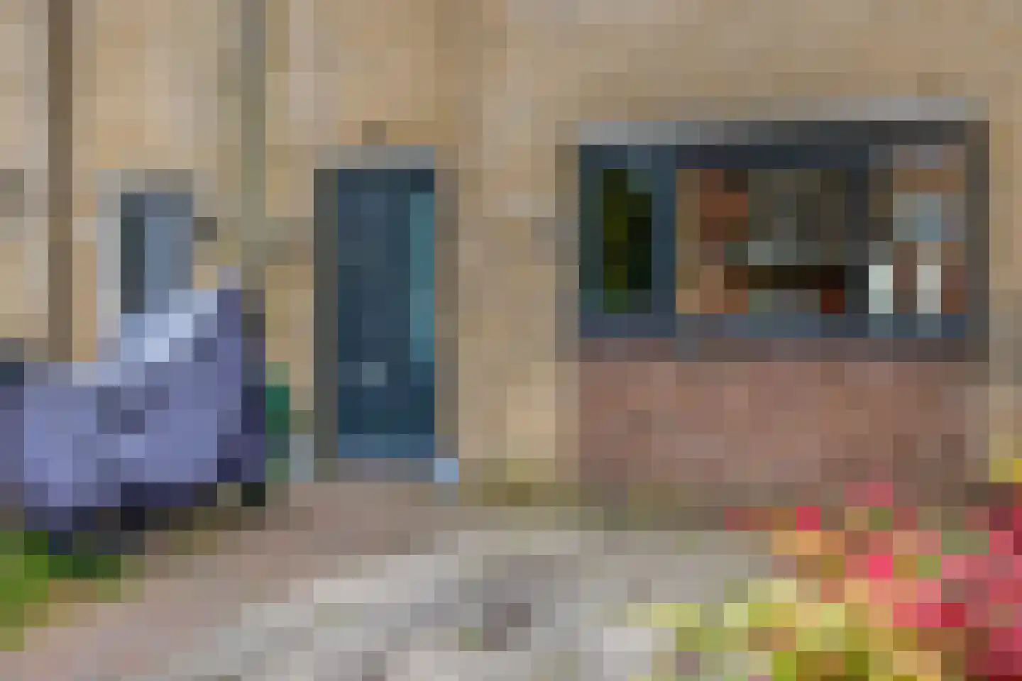Pelmolenerf 16 Gouda thumbnail 7