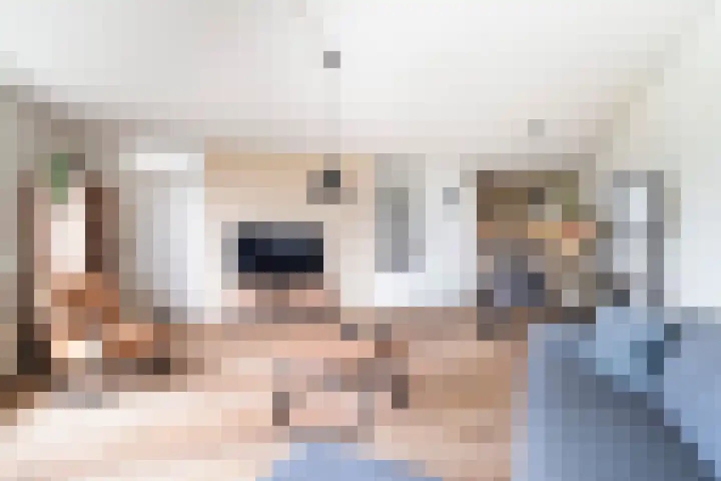 Pelmolenerf 39 Gouda thumbnail 17
