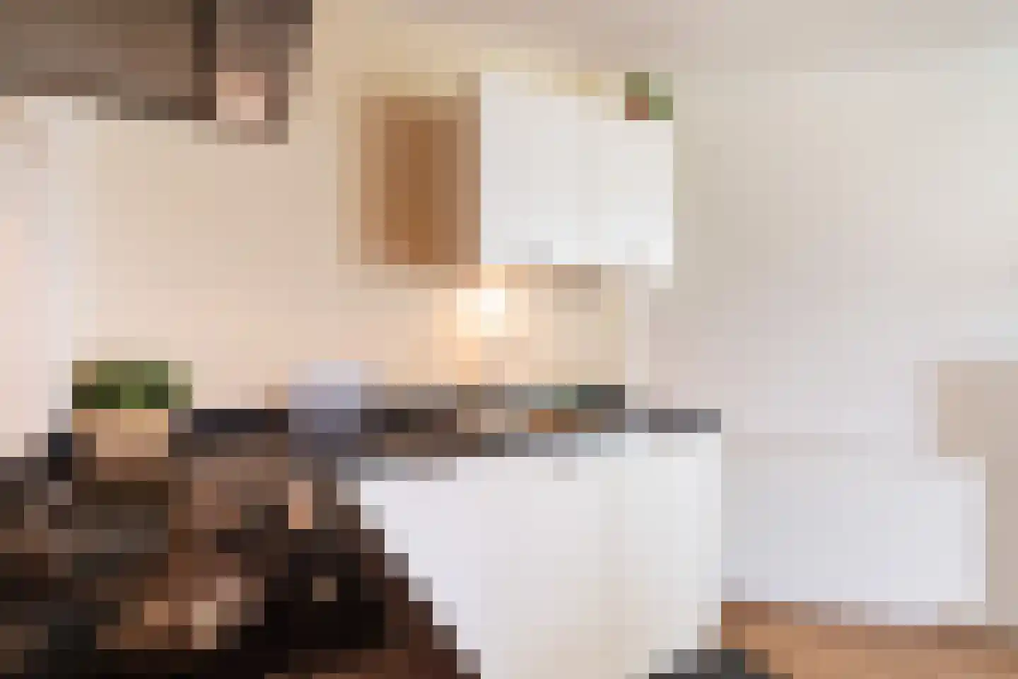 Pelmolenerf 39 Gouda thumbnail 28