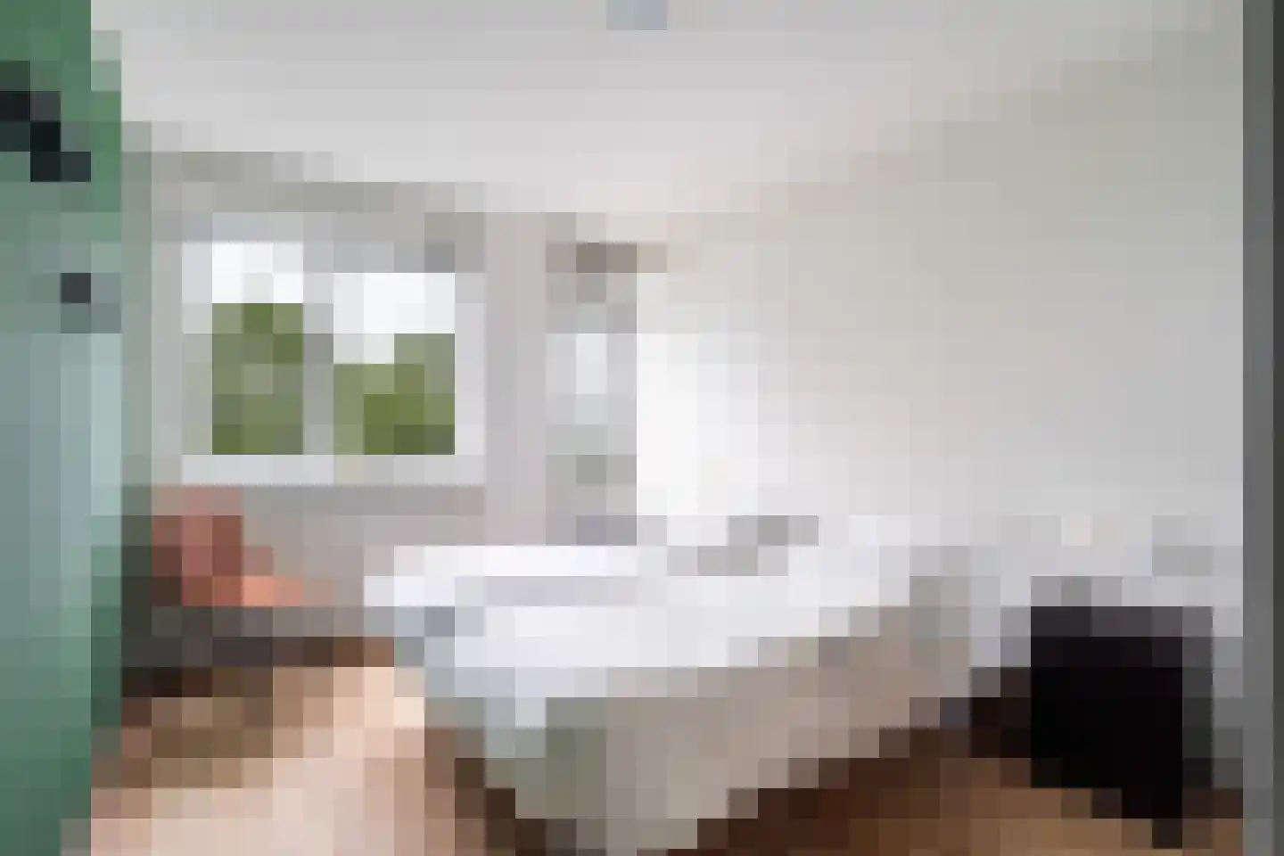 Pelmolenerf 39 Gouda thumbnail 34