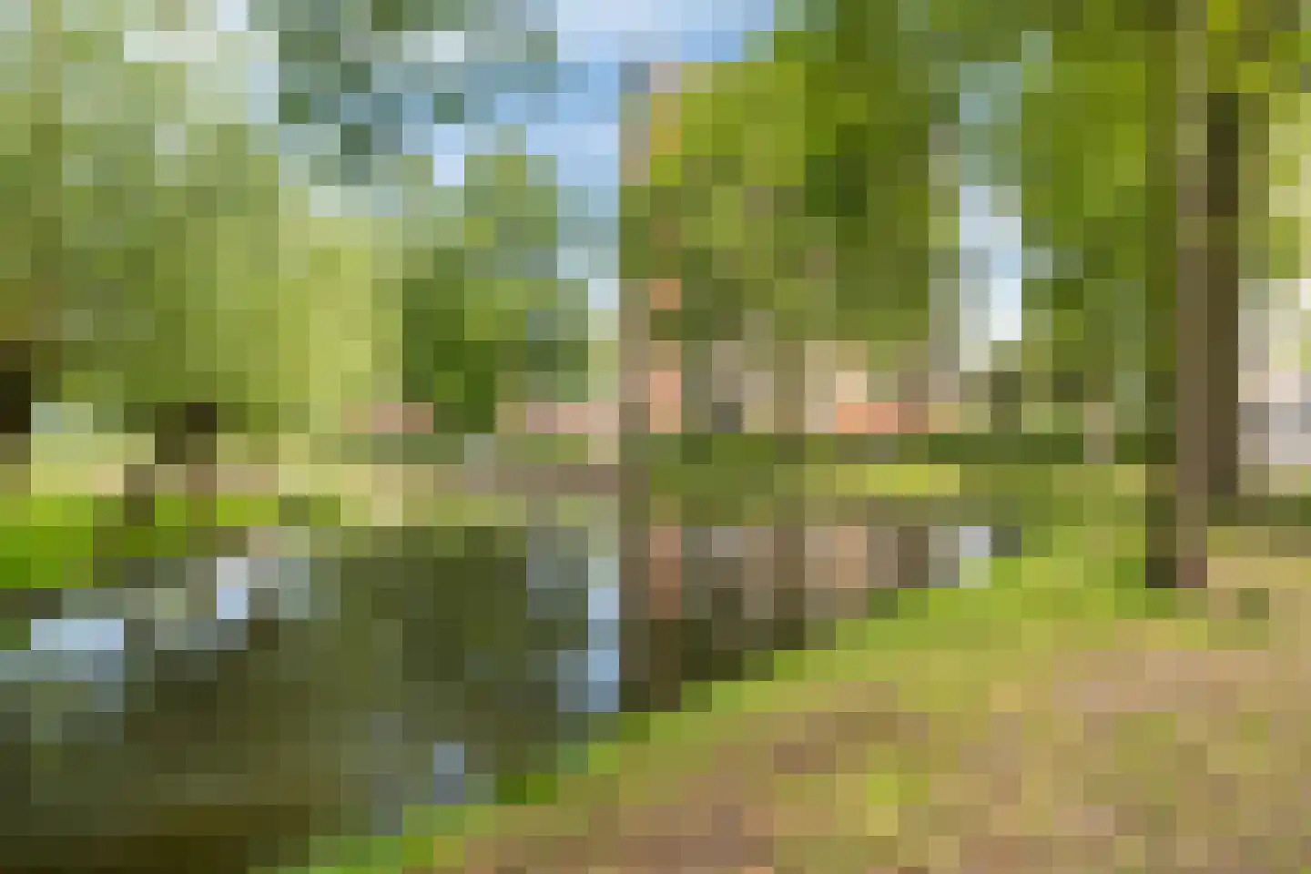 Pelmolenerf 39 Gouda thumbnail 51