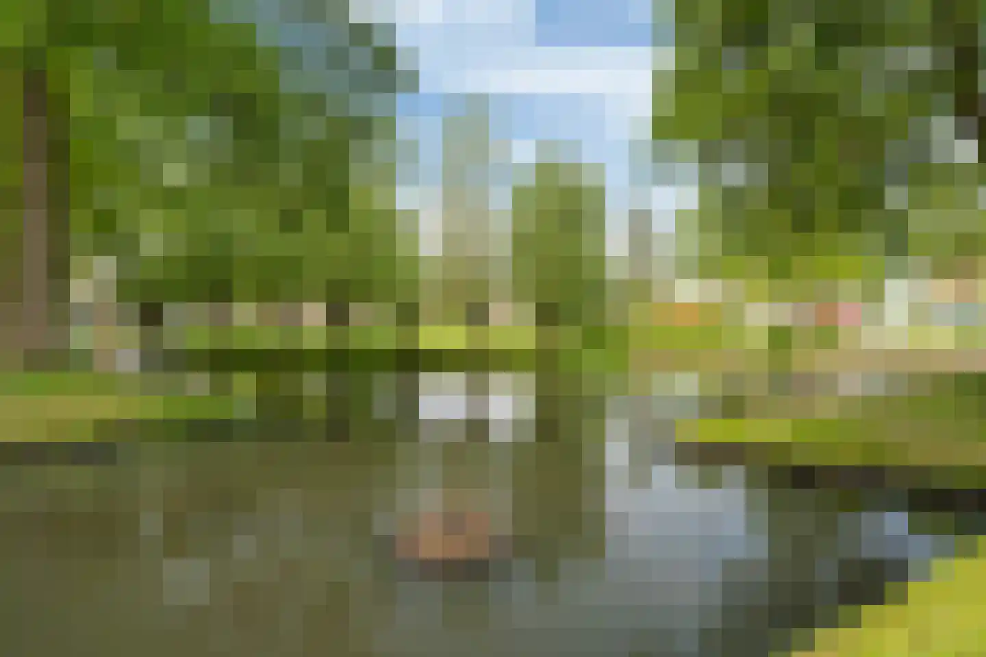 Pelmolenerf 39 Gouda thumbnail 52