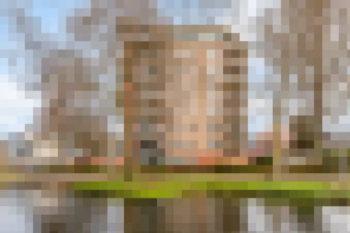 Pelmolenerf 47 Gouda thumbnail 10