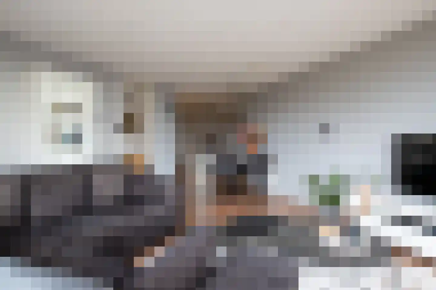 Pelmolenerf 47 Gouda thumbnail 22