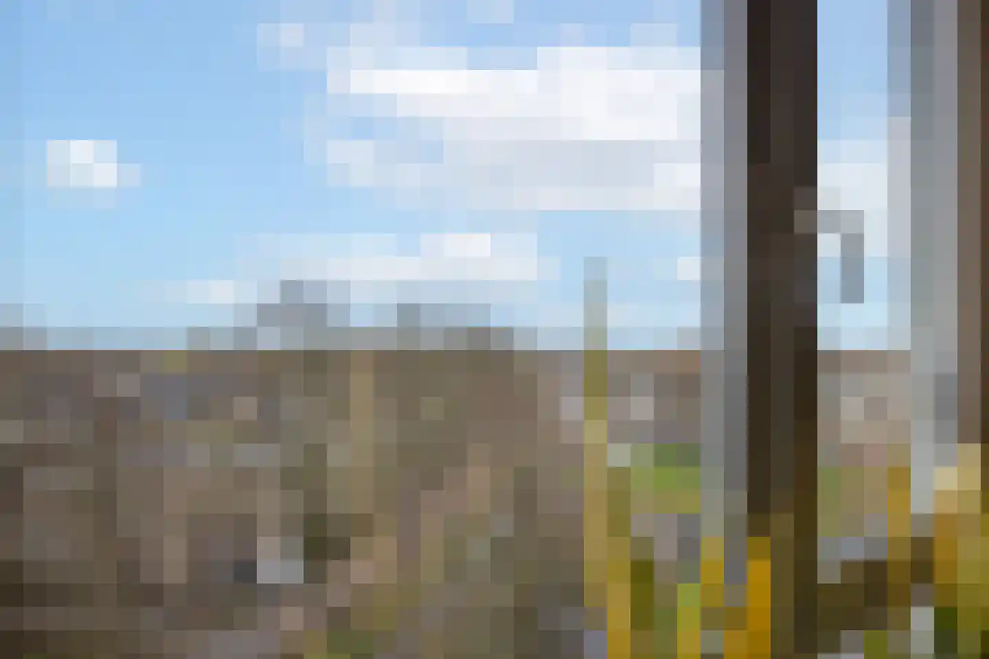 Pelmolenerf 47 Gouda thumbnail 25