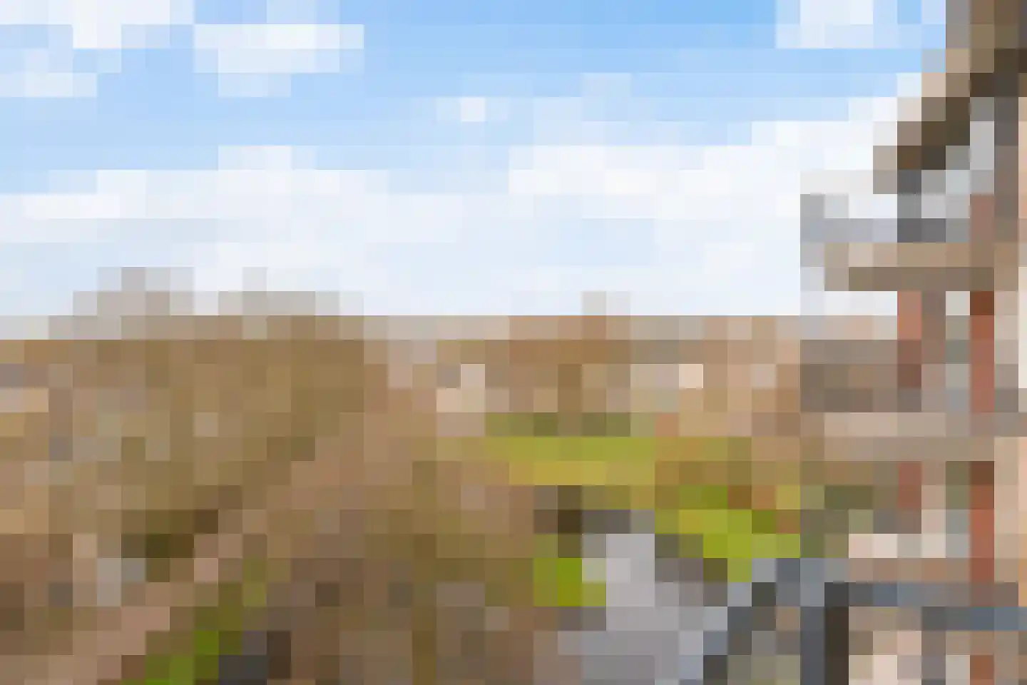 Pelmolenerf 47 Gouda thumbnail 8