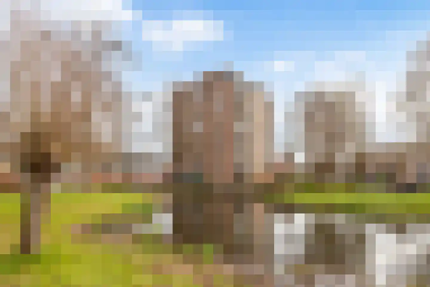 Pelmolenerf 47 Gouda thumbnail 9