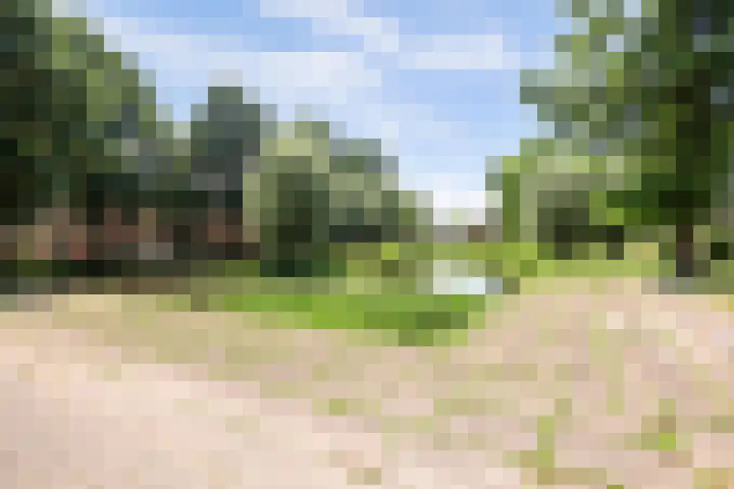 Pelmolenerf 55 Gouda thumbnail 40