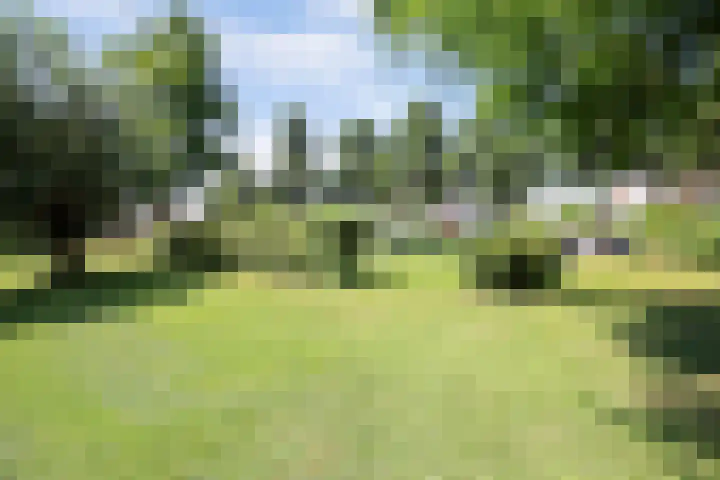 Pelmolenerf 55 Gouda thumbnail 42