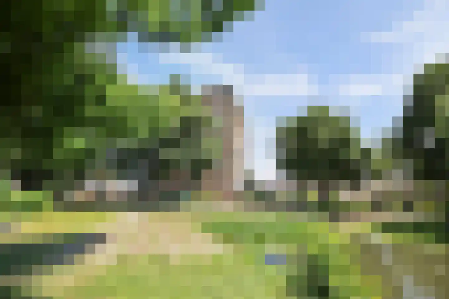 Pelmolenerf 55 Gouda thumbnail 43