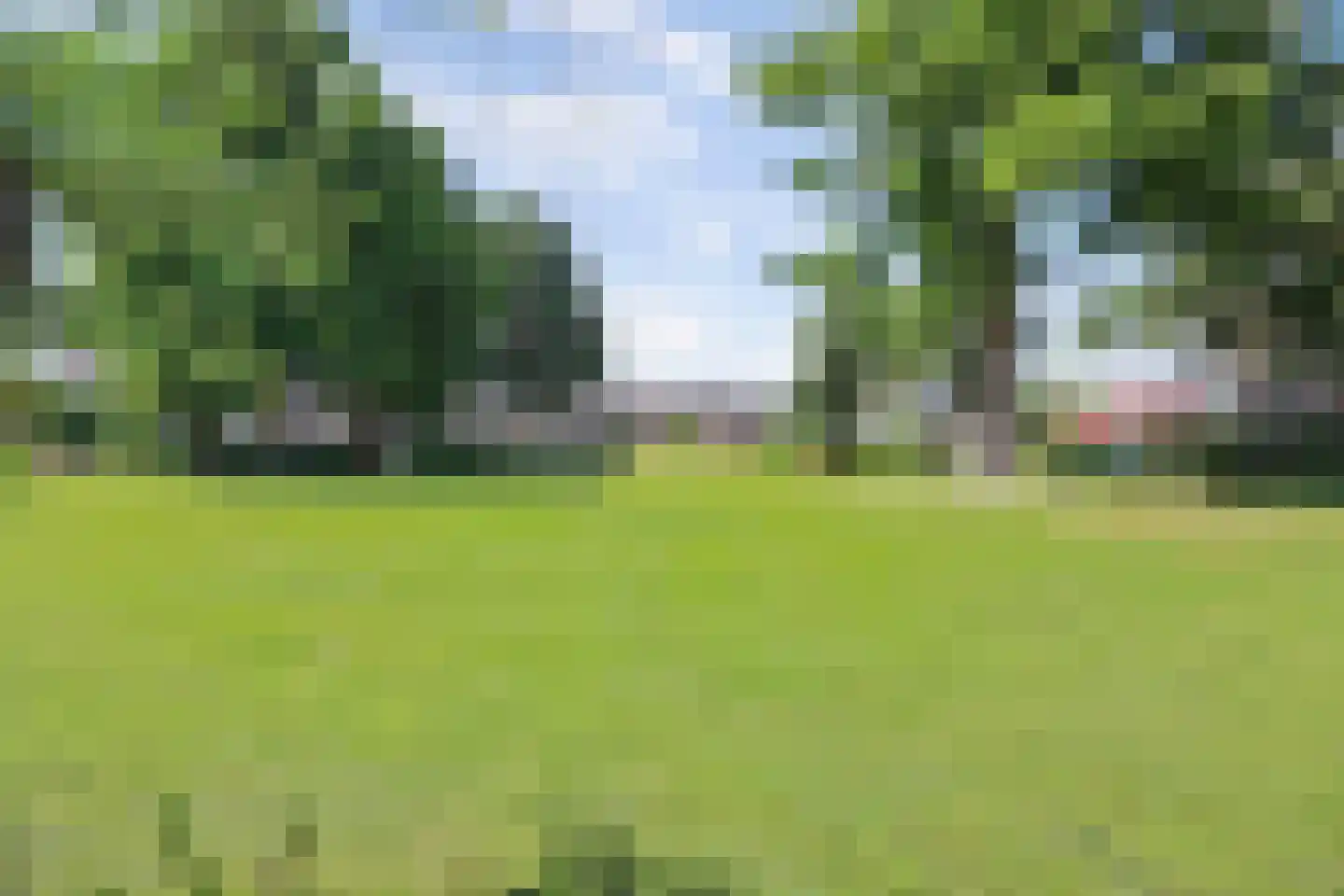 Pelmolenerf 55 Gouda thumbnail 44