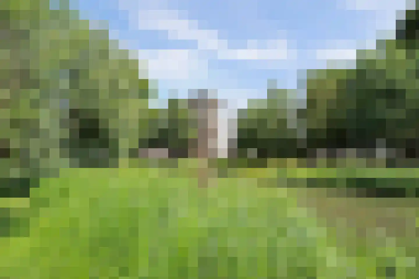 Pelmolenerf 55 Gouda thumbnail 45
