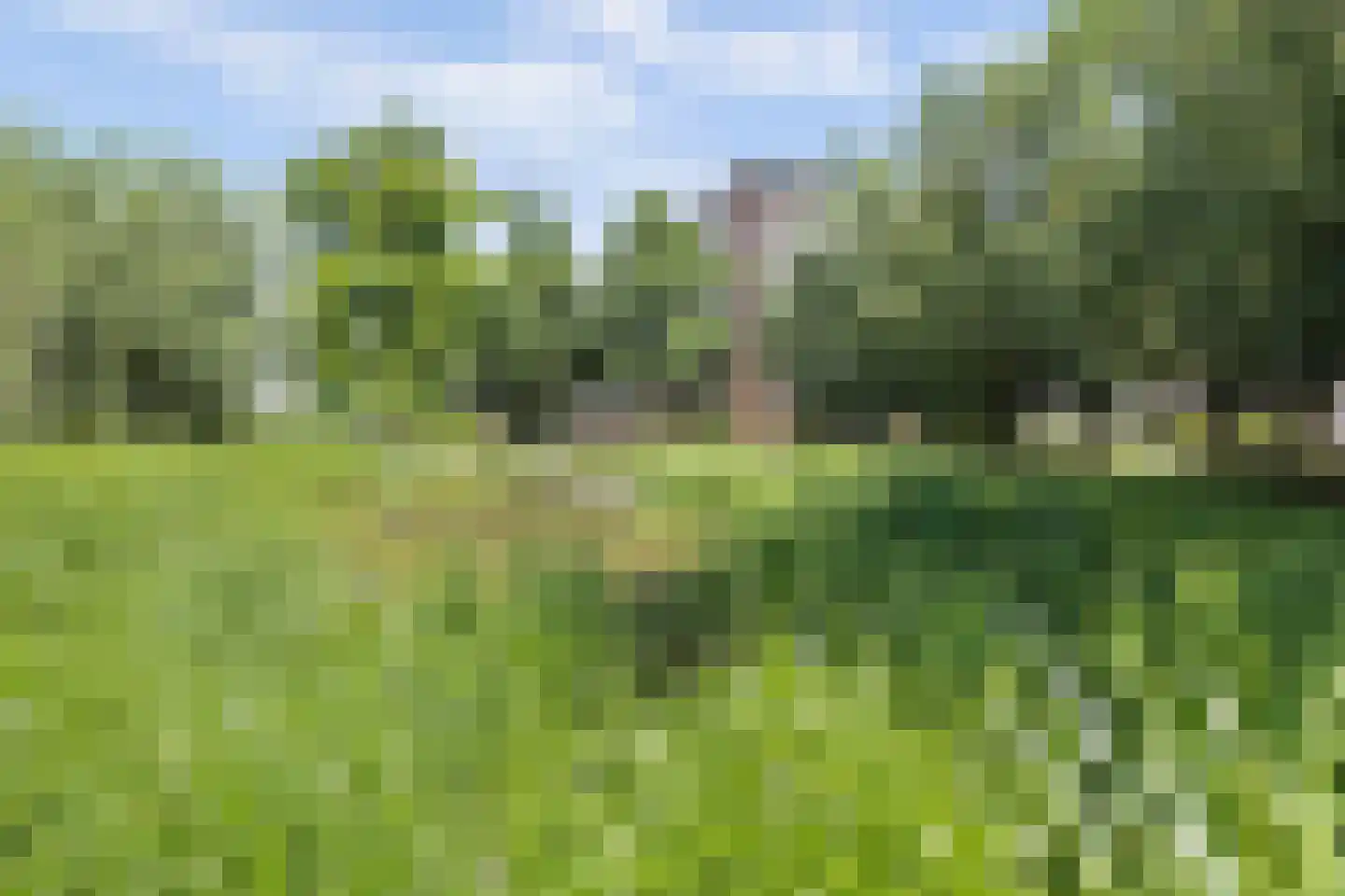 Pelmolenerf 55 Gouda thumbnail 46