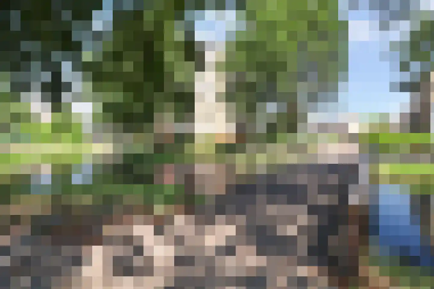 Pelmolenerf 55 Gouda thumbnail 47