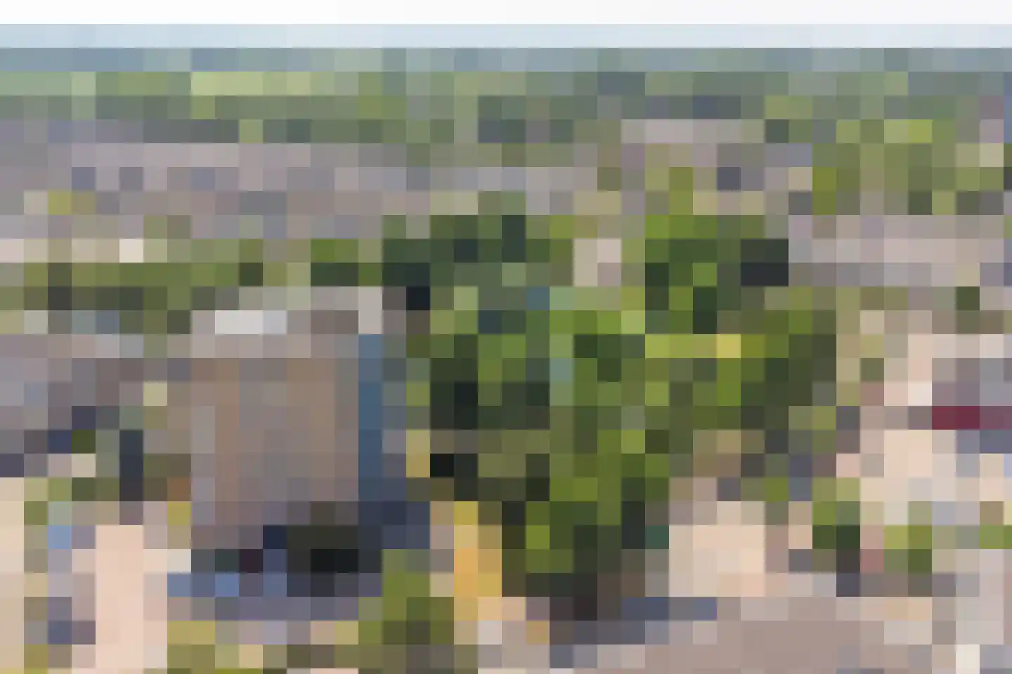 Pelmolenerf 55 Gouda thumbnail 49