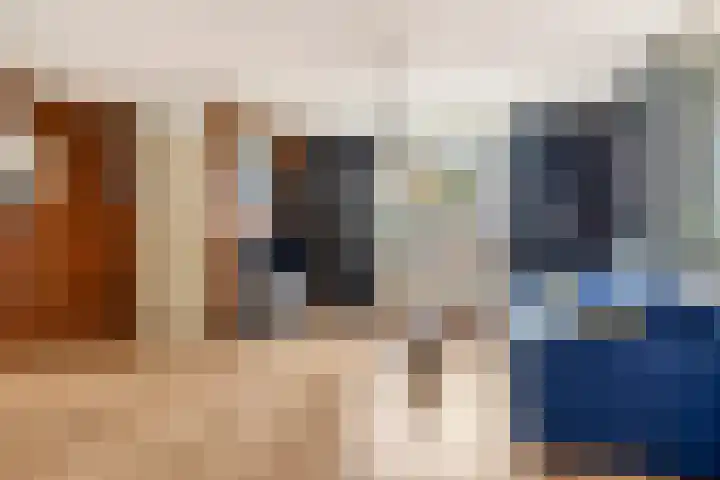 Pelmolenhof 1 Breda thumbnail 15
