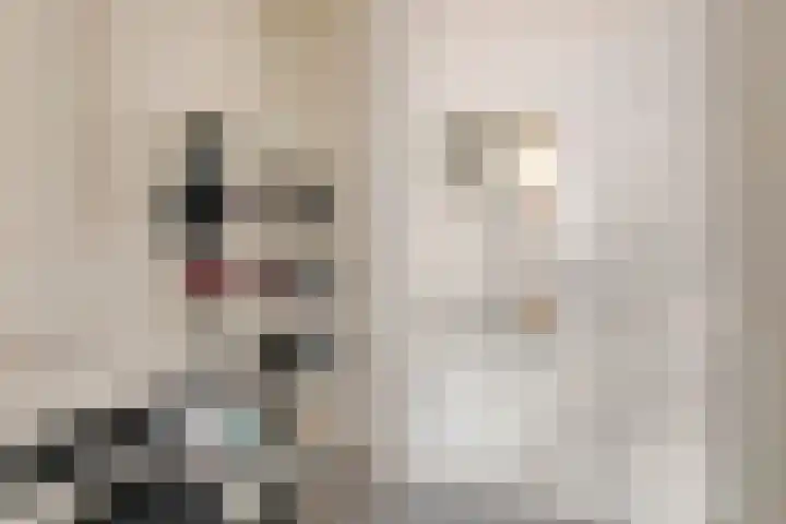 Pelmolenhof 1 Breda thumbnail 24