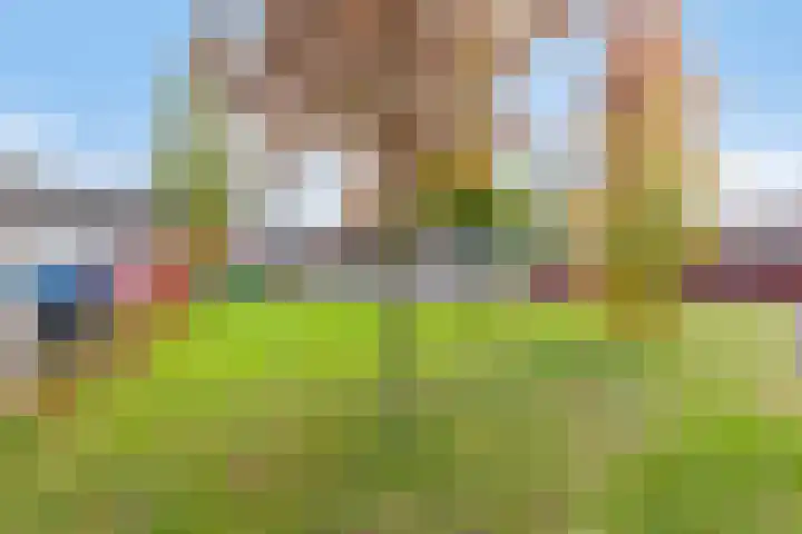 Pelmolenhof 1 Breda thumbnail 29