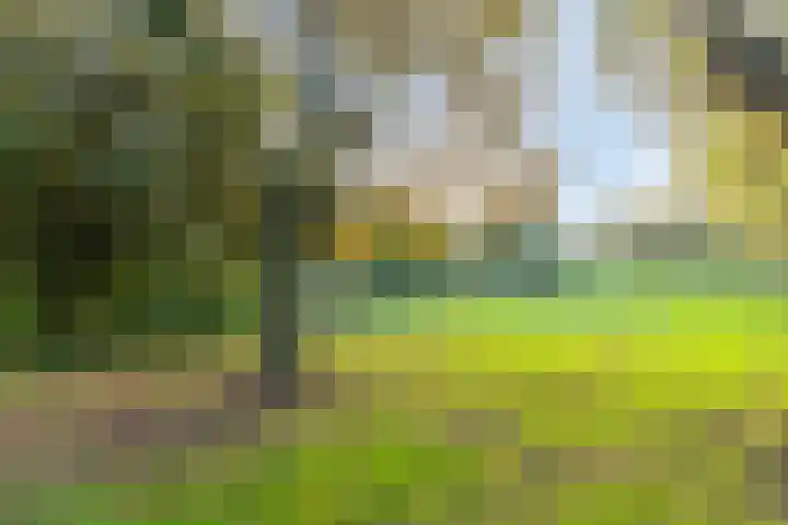 Pelmolenhof 1 Breda thumbnail 30