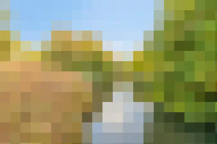 Pelmolenhof 1 Breda thumbnail 6