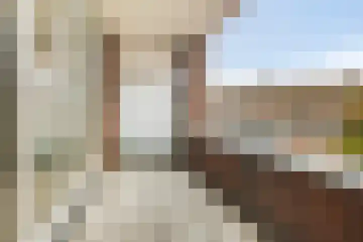Pelmolenhof 11 Breda thumbnail 13