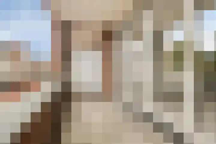 Pelmolenhof 11 Breda thumbnail 15