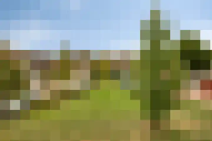 Pelmolenhof 11 Breda thumbnail 21