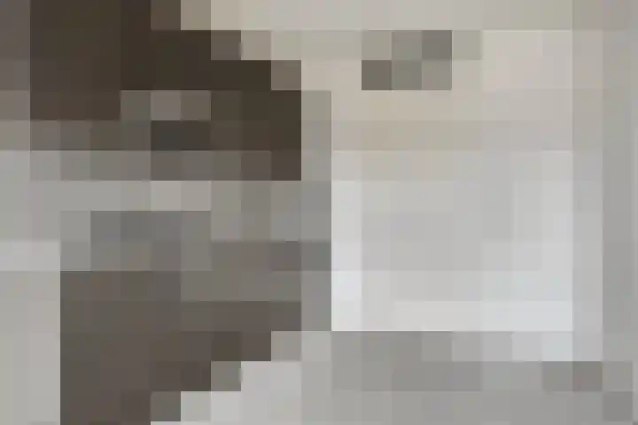 Pelmolenhof 11 Breda thumbnail 5