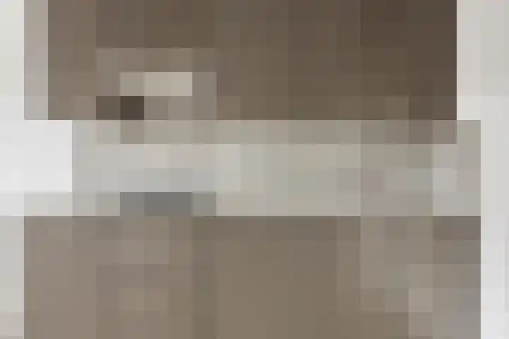 Pelmolenhof 11 Breda thumbnail 6