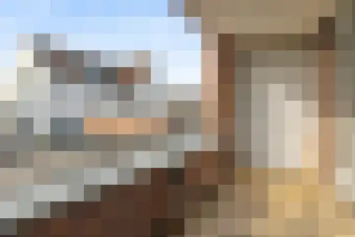 Pelmolenhof 15 Breda thumbnail 25