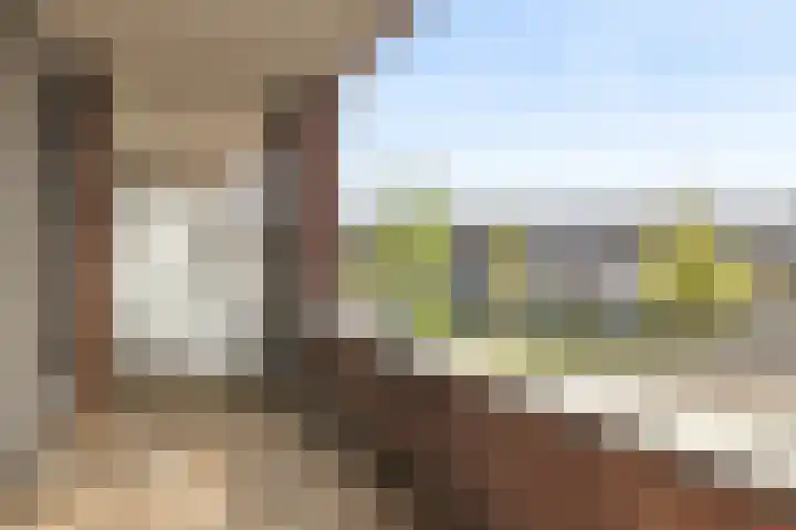 Pelmolenhof 15 Breda thumbnail 26