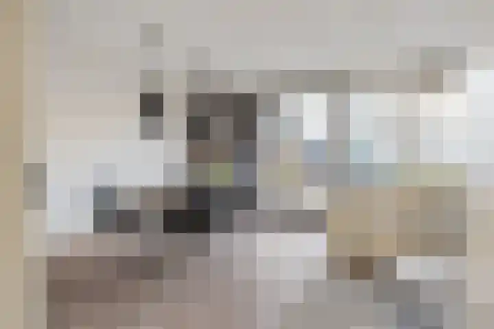 Pelmolenhof 3 Breda thumbnail 13