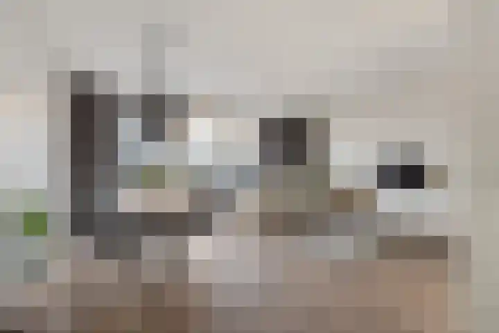 Pelmolenhof 3 Breda thumbnail 14