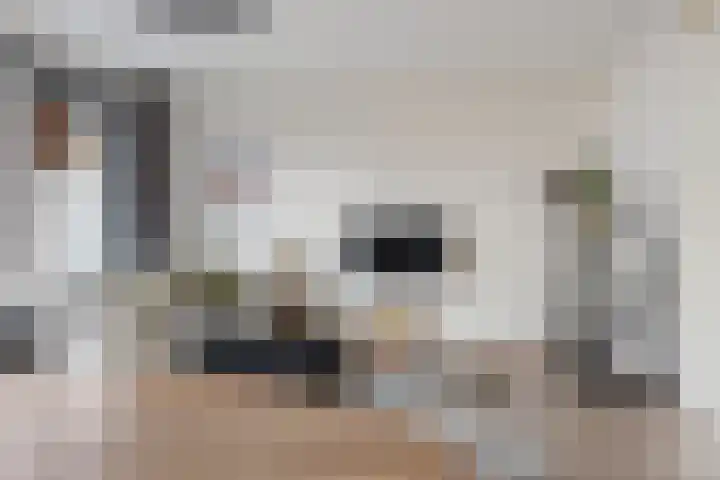 Pelmolenhof 3 Breda thumbnail 16