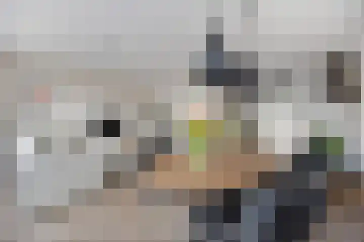 Pelmolenhof 3 Breda thumbnail 17