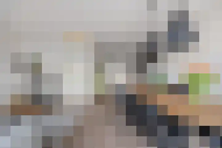 Pelmolenhof 3 Breda thumbnail 18